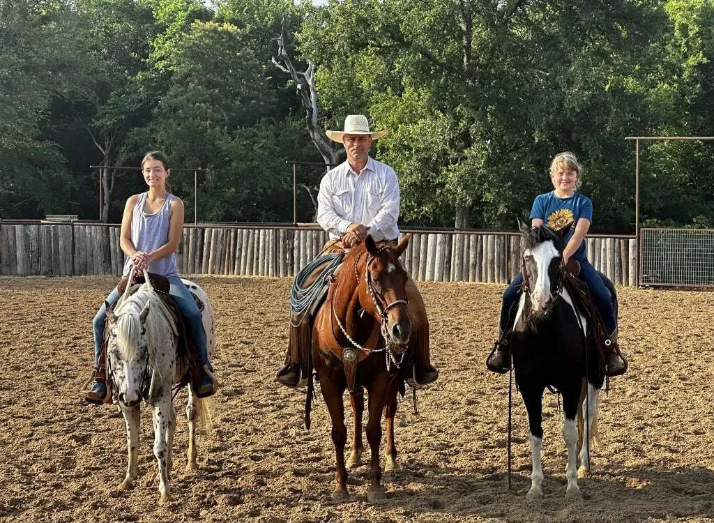 Professional Horse Transportation