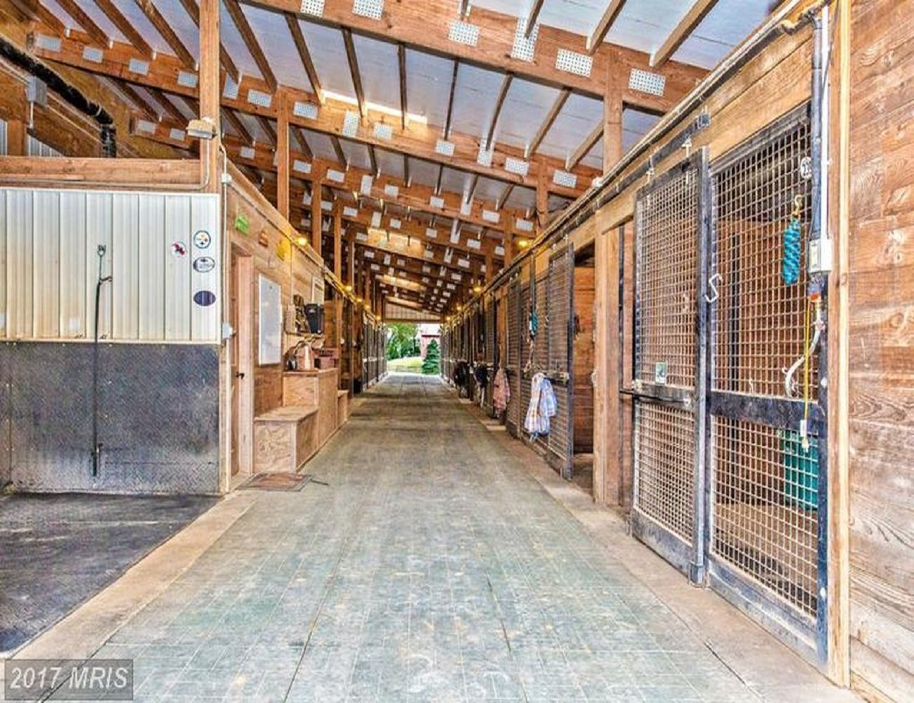 Our Promise - Quality Horse Care